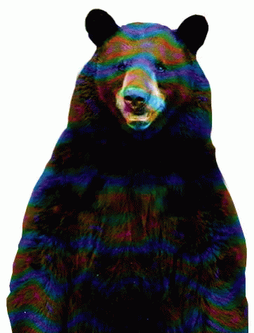 Chunky Bear Is Your Way GIF