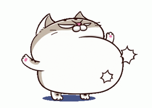 Chunky Cat Bouncy Tummy GIF