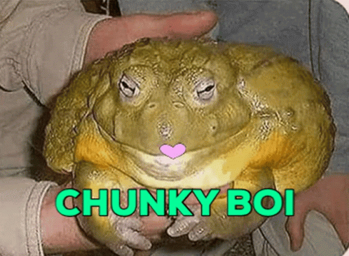 Chunky Frog Gives Some Love GIF