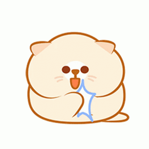 Chunky Kitty Clap GIF