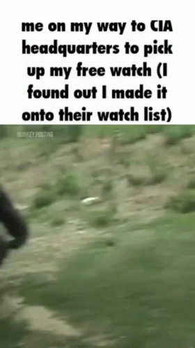 Cia Gorilla Upright Walk Watchlist Meme GIF