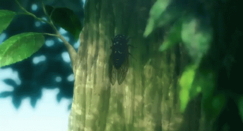 Cicada Perched On Tree Trunk GIF