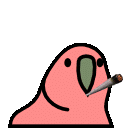Cigarette In Its Mouth Party Parrot GIF