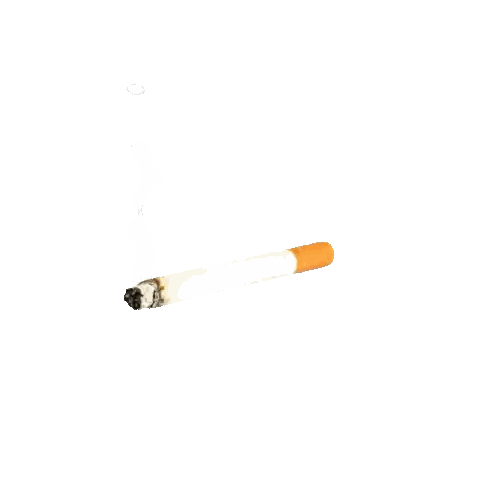 Cigarette With Smoke