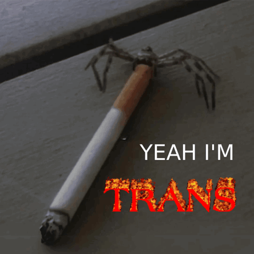 Cigarette With Spider And Yeah I'm Trans GIF