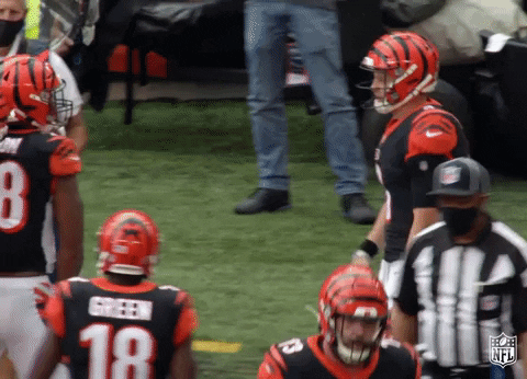 Cincinnati Bengals Celebrating GIF