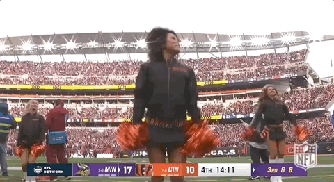 Cincinnati Bengals Cheer Dance GIF