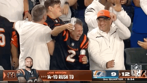Cincinnati Bengals Fans Celebrating GIF