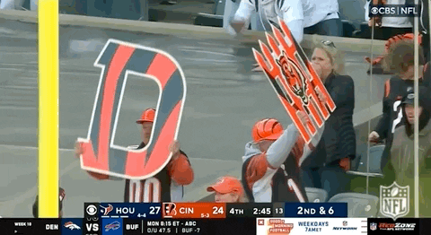 Cincinnati Bengals Fans GIF