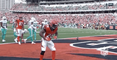Cincinnati Bengals Fortnite Dance GIF