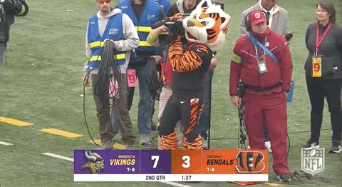 Cincinnati Bengals Mascot Cameraman GIF