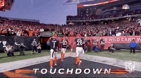 Cincinnati Bengals Team Approaching Who Dey Nation GIF