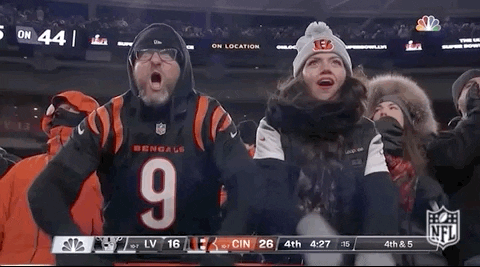 Cincinnati Bengals Who Dey Fan Come On GIF