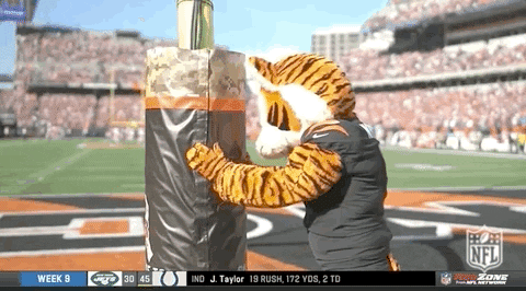 Cincinnati Bengals Who Dey Mascot Disappointed GIF