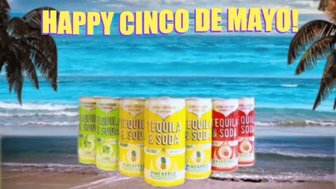 Cinco De Mayo Dancing Gif GIF