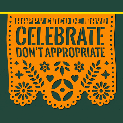 Cinco De Mayo Don't Appropriate GIF