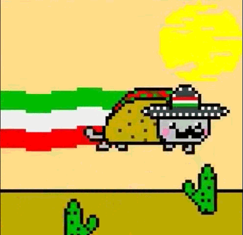 Cinco De Mayo Nyan Cat Taco GIF