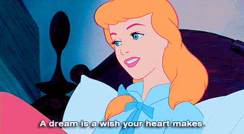 Cinderella A Dream Wish GIF