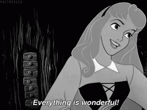 Cinderella Everything Is Wonderful GIF