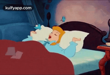Cinderella Sleeping Beauty GIF