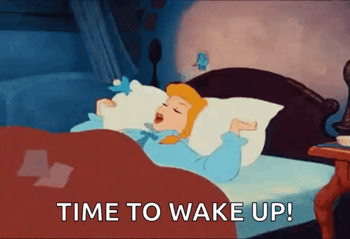 Cinderella Sleeping With Wake Up