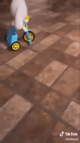 Cinnamoroll Plush Toy Riding Bike GIF
