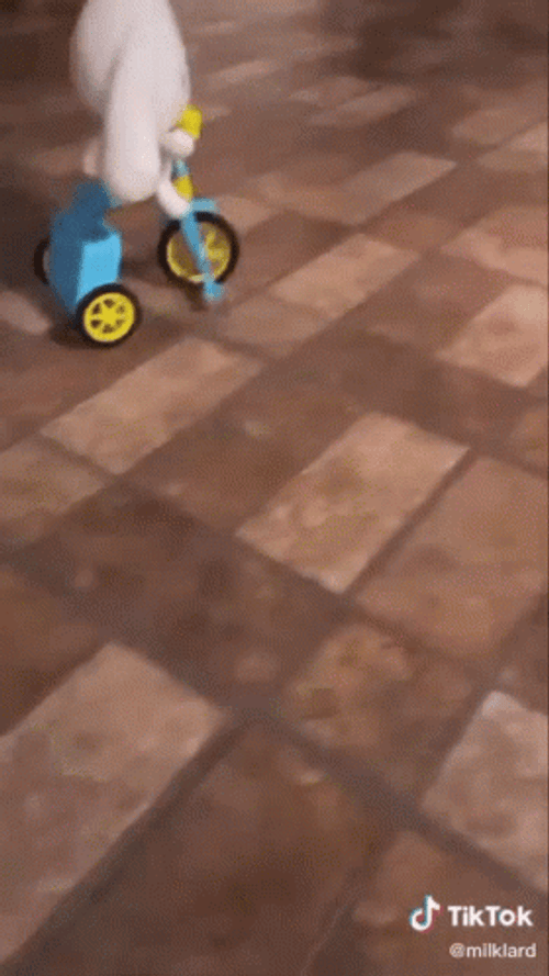 Cinnamoroll Plush Toy Riding Bike GIF