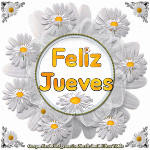 Circle of Daisies Feliz Jueves