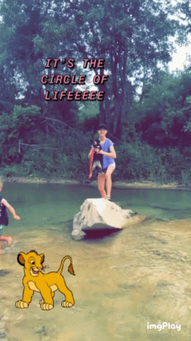 Circle Of Life In A River GIF