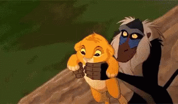 Throwing Circle Of Life GIF