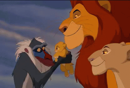 Patting Simba Circle Of Life GIF