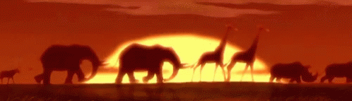 Simba's Pride Circle Of Life GIF