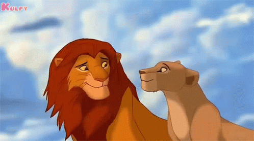 Mufasa Nala Circle Of Life GIF