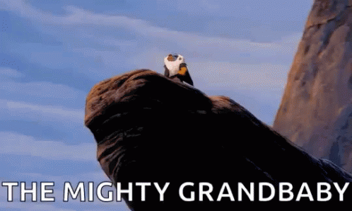 The Mighty Grandbaby Circle Of Life GIF