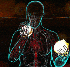 Circulatory System And Physical Activity GIF