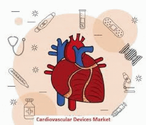 Circulatory System Importance Of Healthy Heart GIF