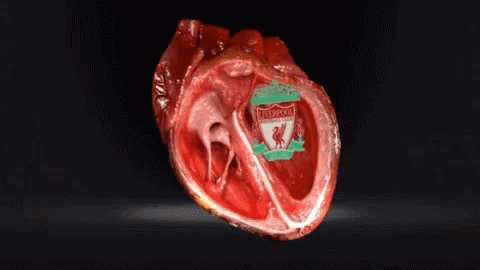 Circulatory System Temperature Regulation Pumping GIF