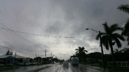 City Driving Monochromatic Video Clip GIF