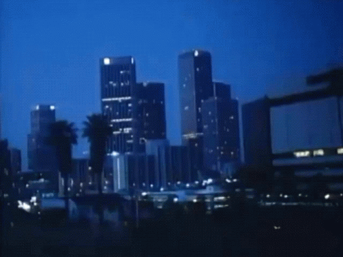 City Skyline at Night with Palm Trees