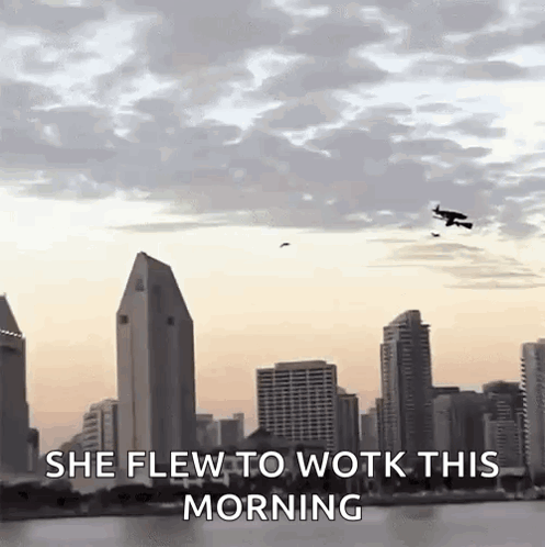 City Skyline With She Flew To Work GIF