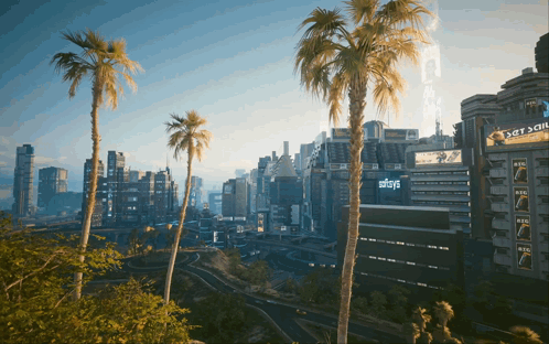 City With Palm Trees and Building Saying Stays