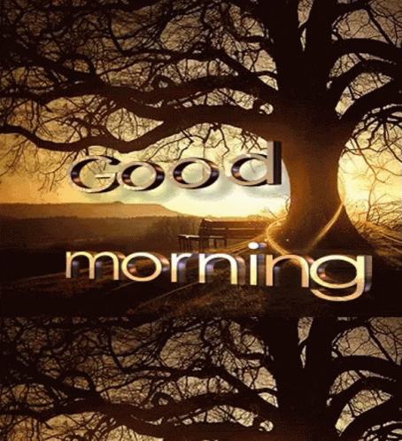 New Good Morning Beautiful Tree GIF