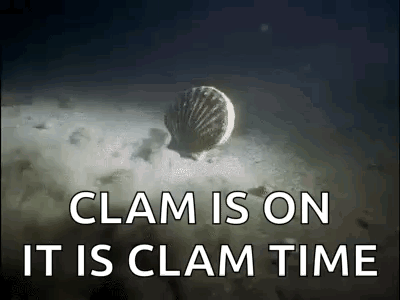 Clam Floating on Sand in Ocean