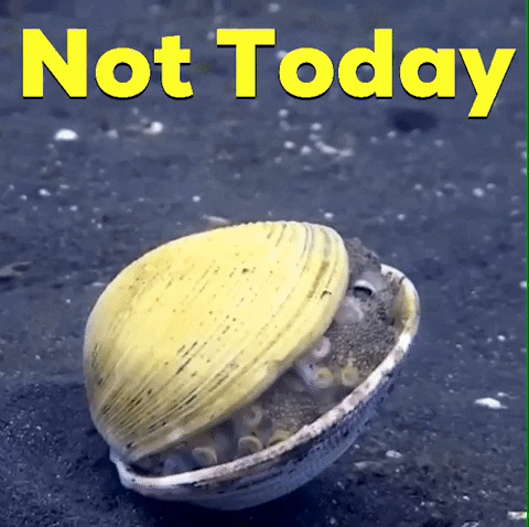 Clam Not Today GIF
