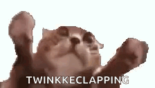 Clappi Clappi Clappi Gif GIF