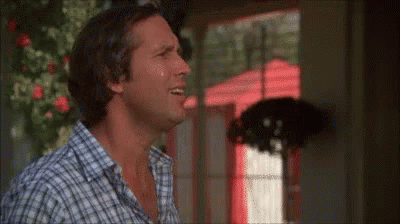 Clark Griswold Punching The Mascot GIF