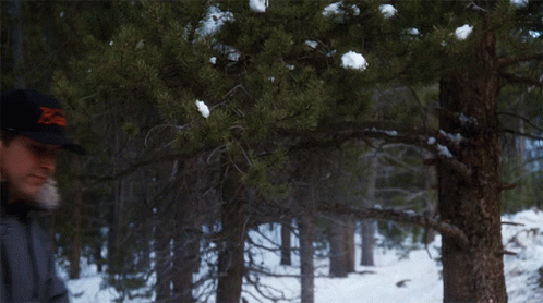 Clark Griswold There It Is GIF