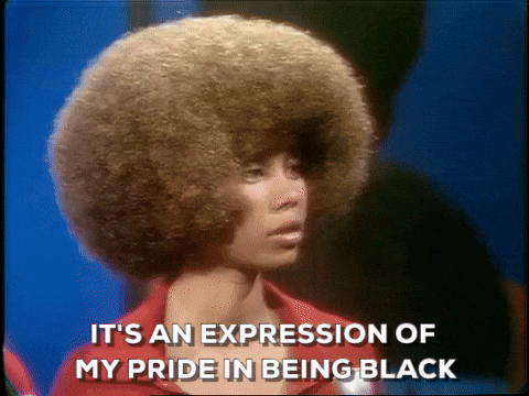 Classic Black Girl Taking Pride Afro Hair GIF