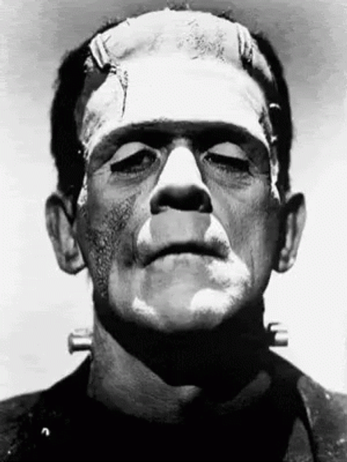 Classic Frankenstein Monster And Elizabeth Image GIF
