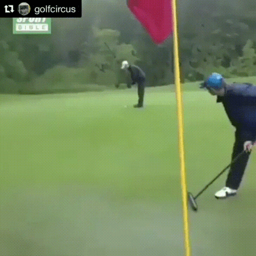 Cleaning Golf Field GIF